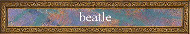 beatle